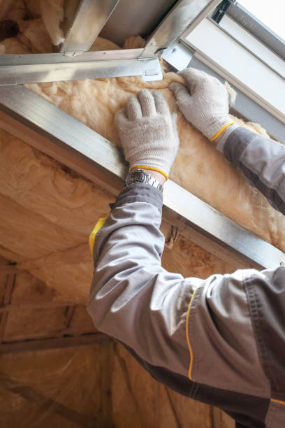 Best Insulation Repair Services  in West Swanzey, NH